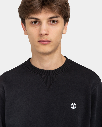 Cornell Classic - Sweatshirt for Men  ELYFT00158