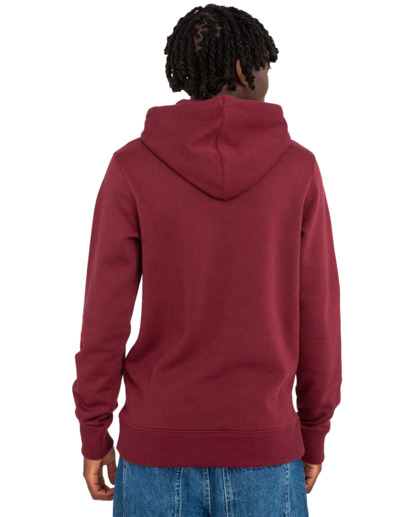 Cornell Classic - Hoodie for Men  ELYFT00159