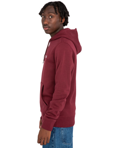 Cornell Classic - Hoodie for Men  ELYFT00159