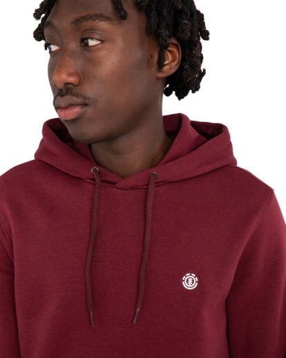 Cornell Classic - Hoodie for Men  ELYFT00159