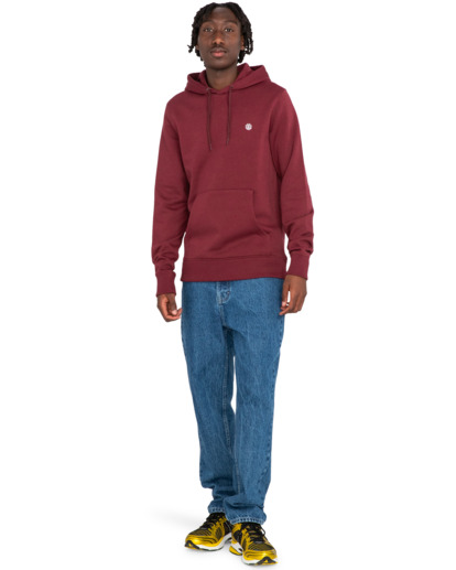 Cornell Classic - Hoodie for Men  ELYFT00159