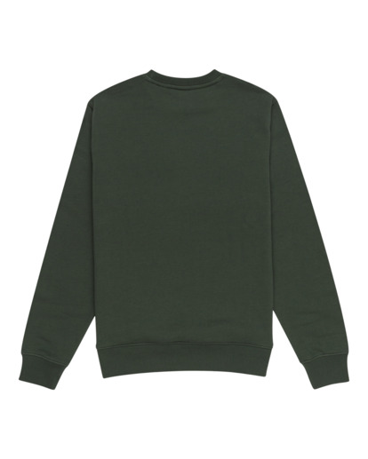 Cornell Classic - Pullover Sweatshirt for Men  ELYFT00168