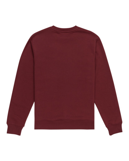 Cornell Classic - Pullover Sweatshirt for Men  ELYFT00168