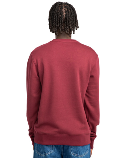 Cornell Classic - Pullover Sweatshirt for Men  ELYFT00168