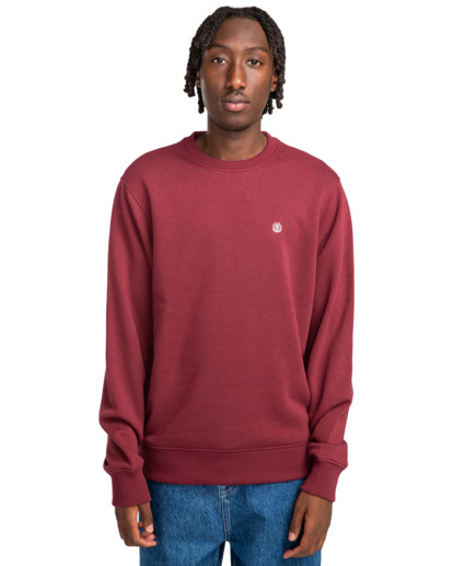 Cornell Classic - Pullover Sweatshirt for Men  ELYFT00168