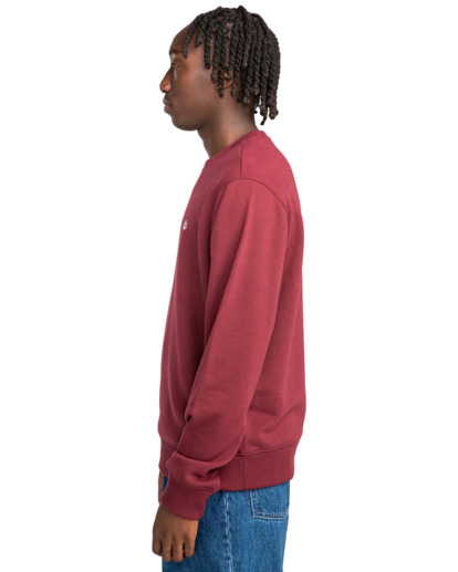 Cornell Classic - Pullover Sweatshirt for Men  ELYFT00168