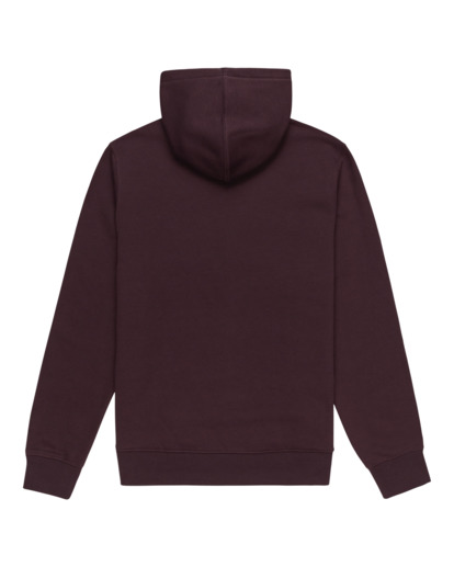 Cornell Classic - Pullover Hoodie for Men  ELYFT00169