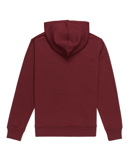 Cornell Classic - Pullover Hoodie for Men  ELYFT00169