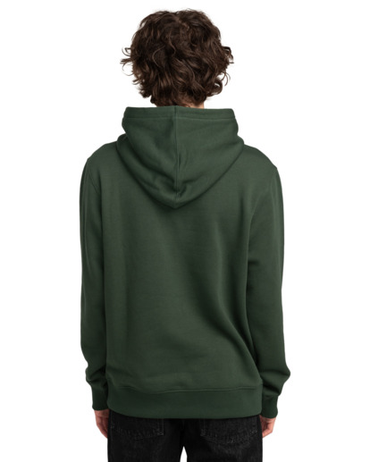 Cornell Classic - Pullover Hoodie for Men  ELYFT00169