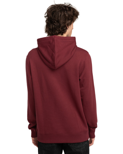 Cornell Classic - Pullover Hoodie for Men  ELYFT00169