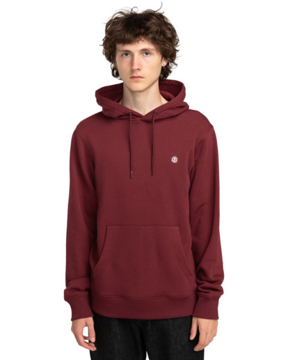 Cornell Classic - Pullover Hoodie for Men  ELYFT00169