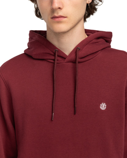 Cornell Classic - Pullover Hoodie for Men  ELYFT00169