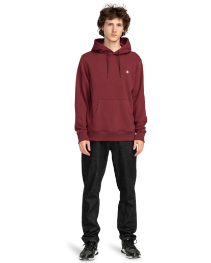 Cornell Classic - Pullover Hoodie for Men  ELYFT00169