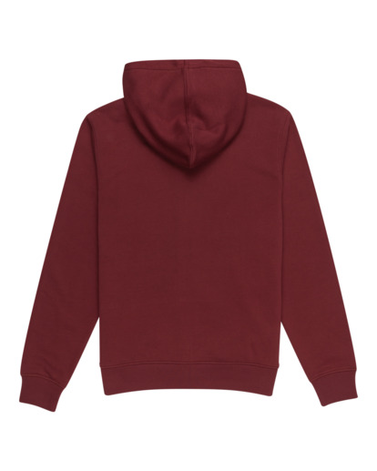 Cornell Classic - Zip-Up Hoodie for Men  ELYFT00170