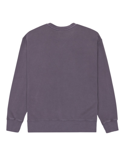 Lowcase Pigment Cr - Sweatshirt for Men  ELYFT00172