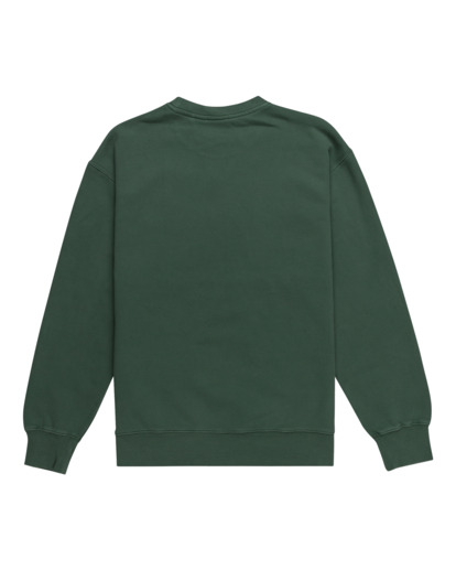 Lowcase Pigment Cr - Sweatshirt for Men  ELYFT00172