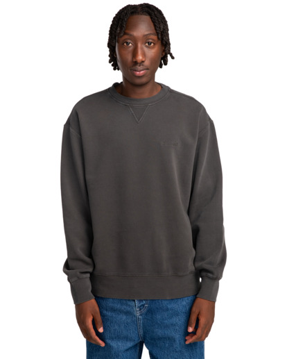 Cornell 3.0 - Pullover Sweatshirt for Men  ELYFT00172