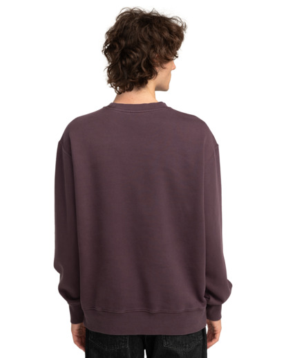 Lowcase Pigment Cr - Sweatshirt for Men  ELYFT00172