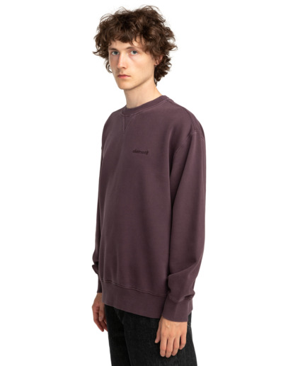 Lowcase Pigment Cr - Sweatshirt for Men  ELYFT00172