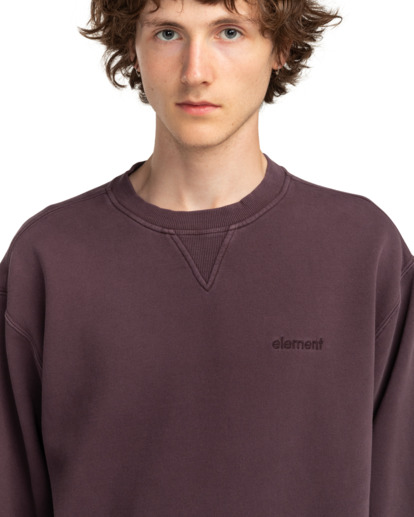 Lowcase Pigment Cr - Sweatshirt for Men  ELYFT00172