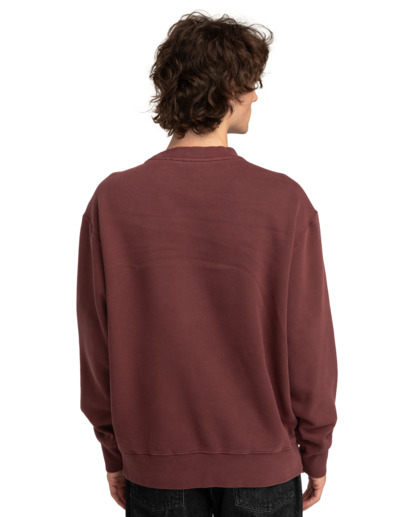 Cornell 3.0 - Pullover Sweatshirt for Men  ELYFT00172