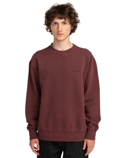 Cornell 3.0 - Pullover Sweatshirt for Men  ELYFT00172