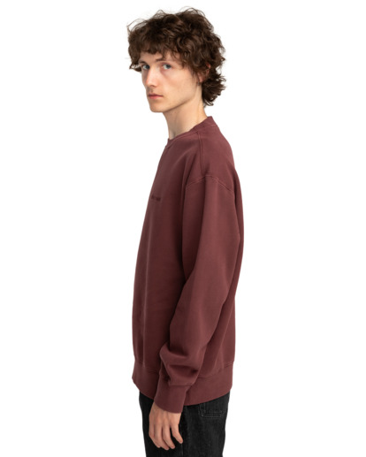 Cornell 3.0 - Pullover Sweatshirt for Men  ELYFT00172