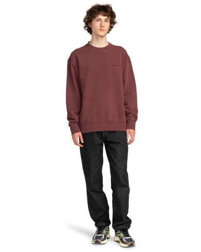 Cornell 3.0 - Pullover Sweatshirt for Men  ELYFT00172