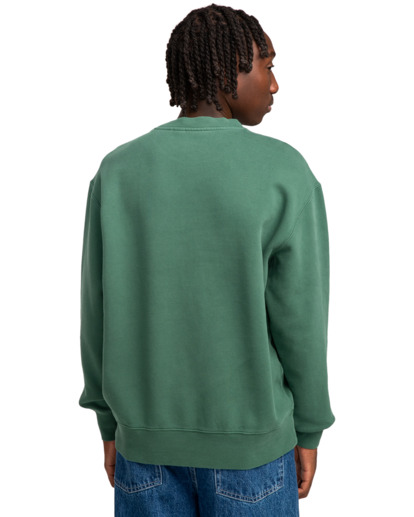 Lowcase Pigment Cr - Sweatshirt for Men  ELYFT00172