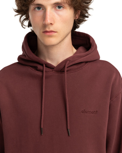 Lowcase Pigment Po - Hoodie for Men  ELYFT00173