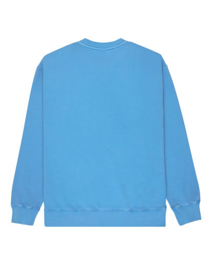 Cornell 3.0 - Pullover Sweatshirt for Men  ELYFT00188