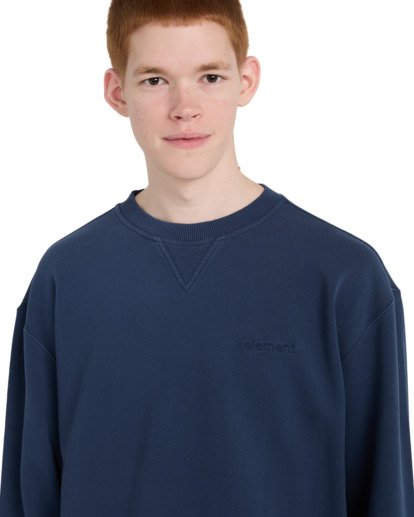 Cornell 3.0 - Pullover Sweatshirt for Men  ELYFT00188