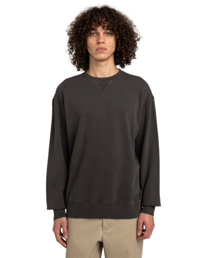 Cornell 3.0 - Pullover Sweatshirt for Men  ELYFT00188