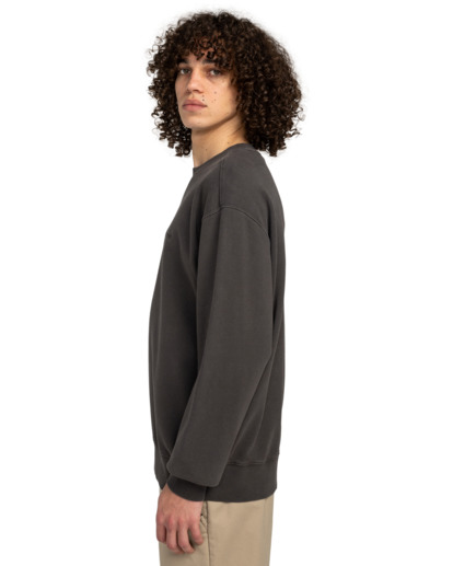 Cornell 3.0 - Pullover Sweatshirt for Men  ELYFT00188