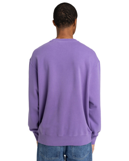 Cornell 3.0 - Pullover Sweatshirt for Men  ELYFT00188