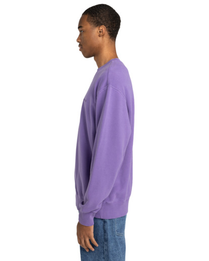 Cornell 3.0 - Pullover Sweatshirt for Men  ELYFT00188