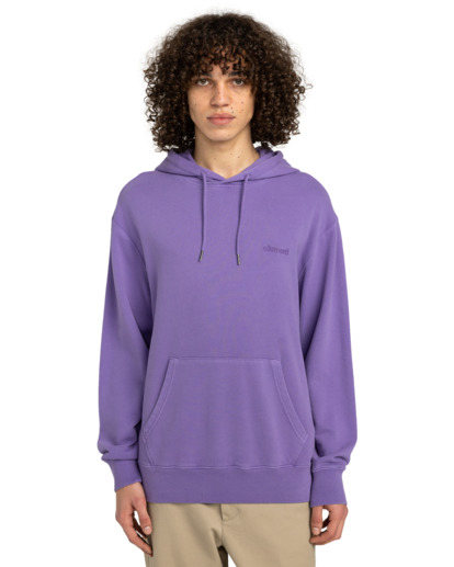 Cornell 3.0 - Pullover Hoodie for Men  ELYFT00189