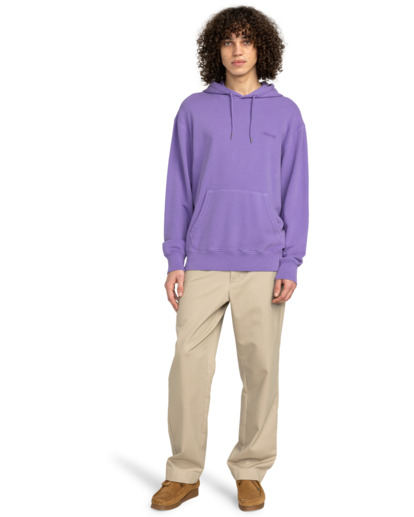 Cornell 3.0 - Pullover Hoodie for Men  ELYFT00189