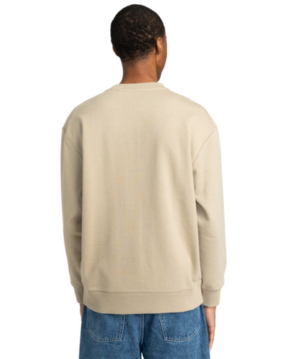 Cornell Cipher - Pullover Sweatshirt for Men  ELYFT00190