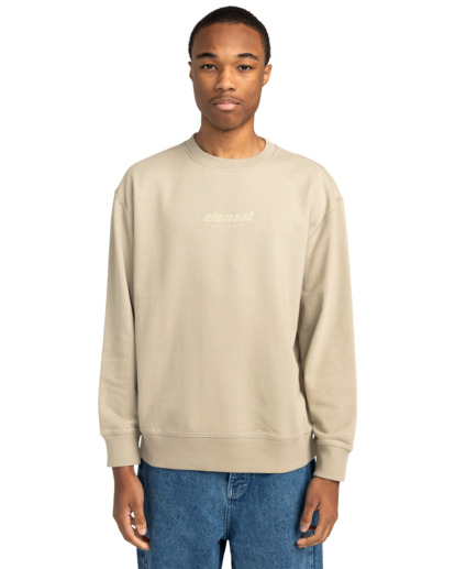 Cornell Cipher - Pullover Sweatshirt for Men  ELYFT00190