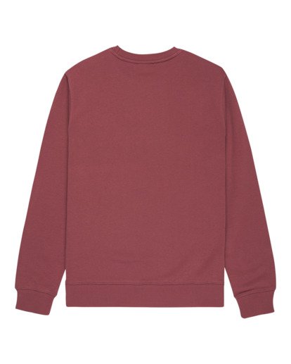 Icon Embroidery Cr - Sweatshirt for Men  ELYFT00197