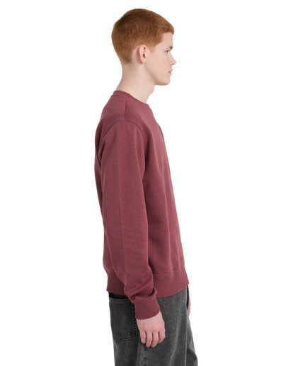 Icon Embroidery Cr - Sweatshirt for Men  ELYFT00197