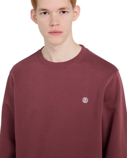 Icon Embroidery Cr - Sweatshirt for Men  ELYFT00197