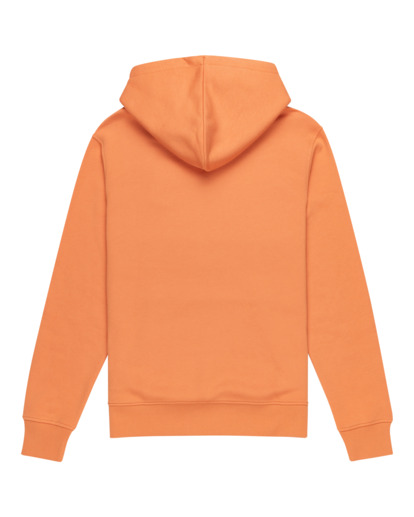 Cornell Classic - Pullover Hoodie for Men  ELYFT00198