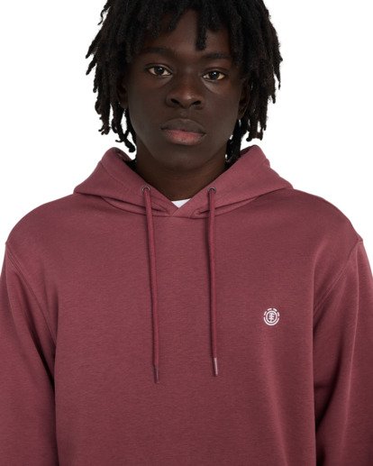 Icon Embroidery Po - Hoodie for Men  ELYFT00198