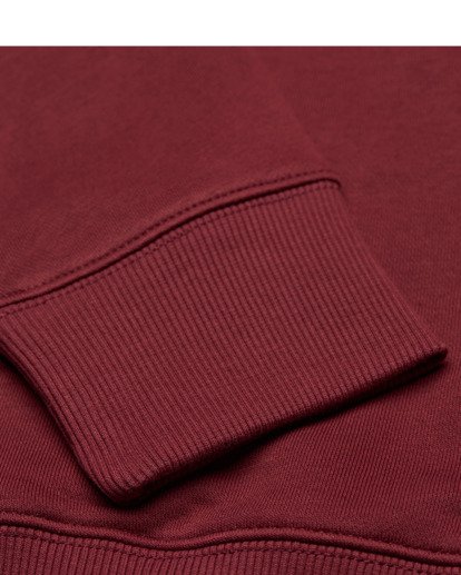 Icon Embroidery - Zip Sweatshirt for Men  ELYFT00199