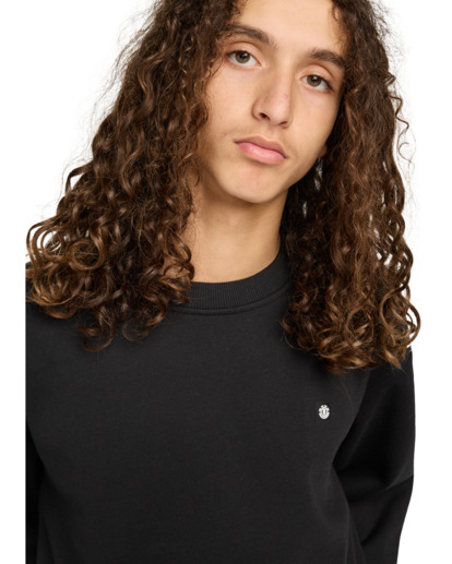element, Icon Rain Cr - Sweat pour Homme, FLINT BLACK (fbk) Icon Rain Cr - Sweatshirt for Men  ELYFT00205