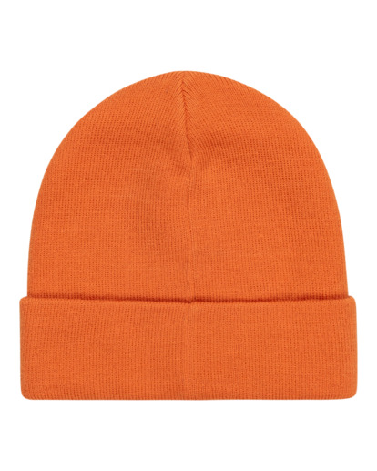 Carrier - Beanie for Men  ELYHA00162