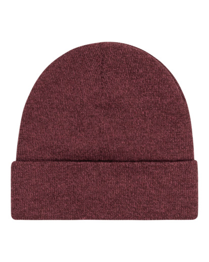 Carrier - Beanie for Men  ELYHA00162