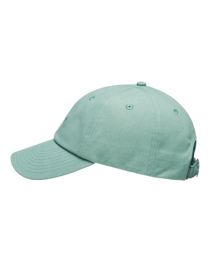 Fluky 3.0 - Dad Cap for Men  ELYHA00189